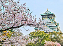 芒果体育官方入口-【中超】奥古斯托传射马尔康绝平 国安3比3华夏幸福